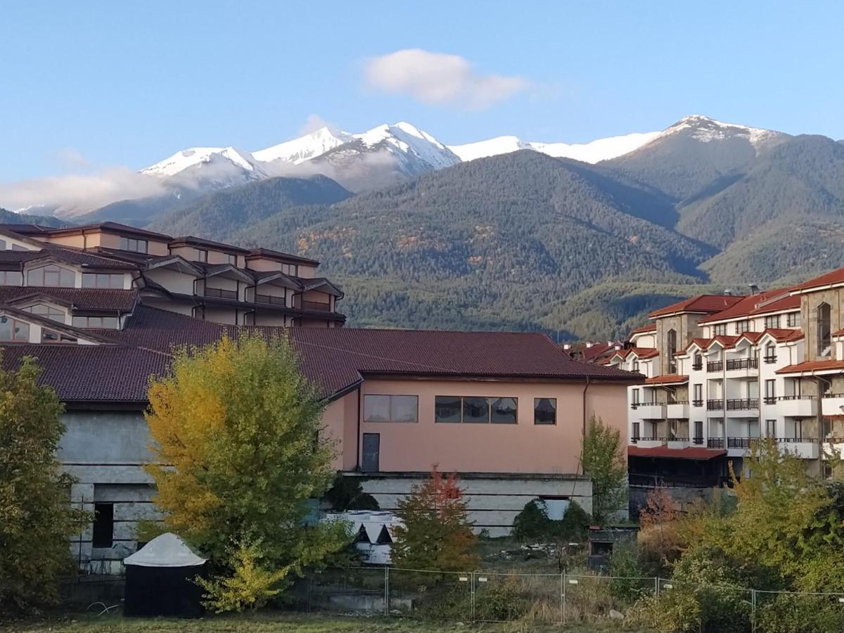 Pine Tree Studio B11 Bansko Eksteriør billede
